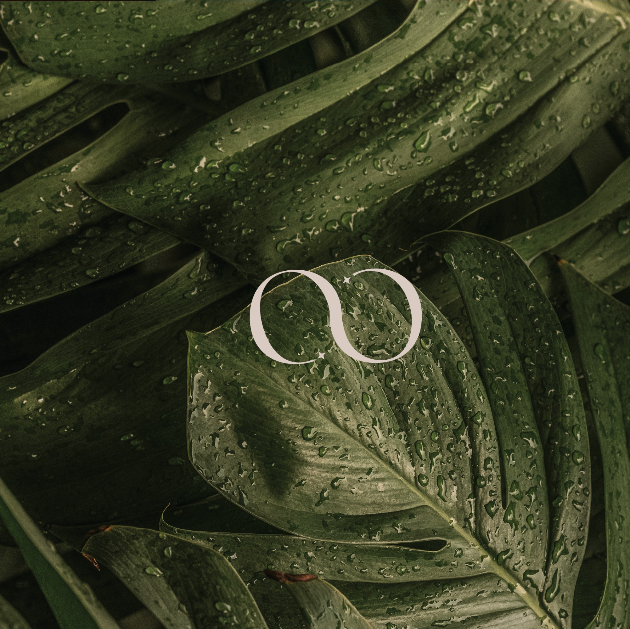 Noor interlocking monogram on green botanical leaves